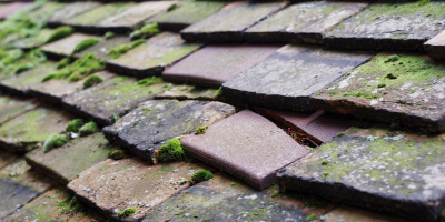 Cox Green roof repair costs